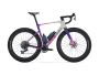 Wilier Triestina RAVE SLR ID2 The Grip Elite Gravel Team