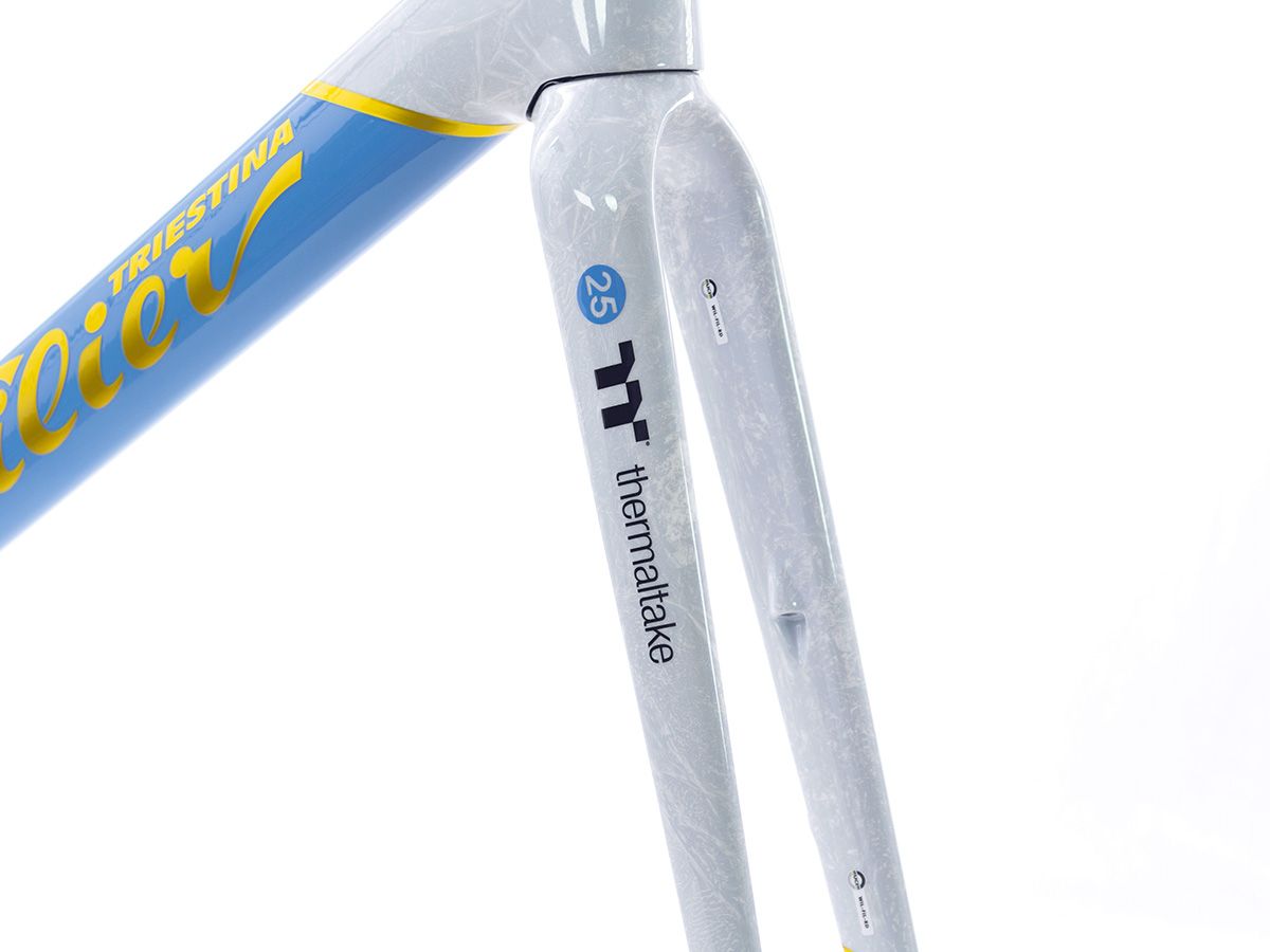 Wilier Triestina FILANTE SLR 空力車車架組  繡球花藍 XL