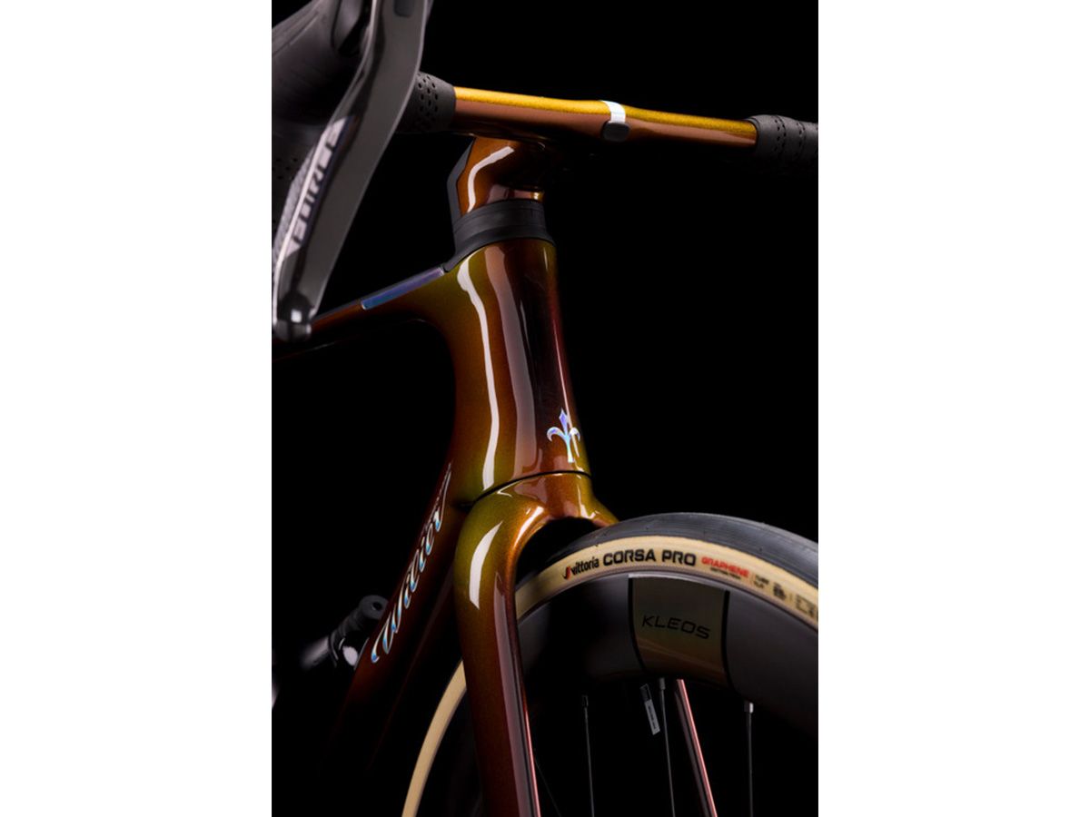 Wilier Triestina  Filante SLR ID2 全能空力車 車架組 / 日曜銅 L