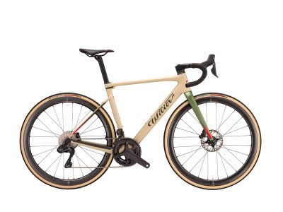 Wilier Triestina RAVE SLR 礫石車 SRAM FORCE XPLR ETAP AXS D1/  SLR36 碳纖維碟煞輪組